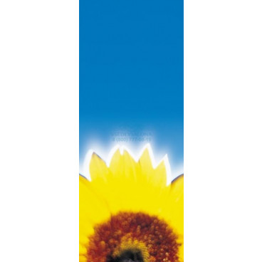 Солярий-Коллагенарий TWIN T2