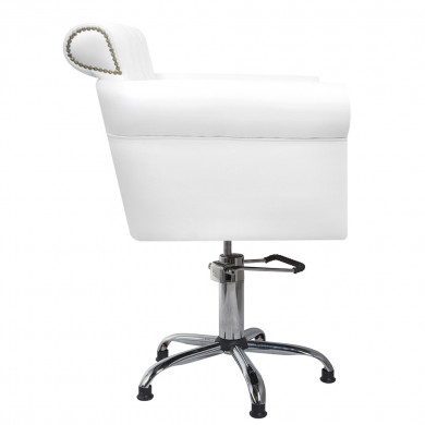 Парикмахерское кресло Demure